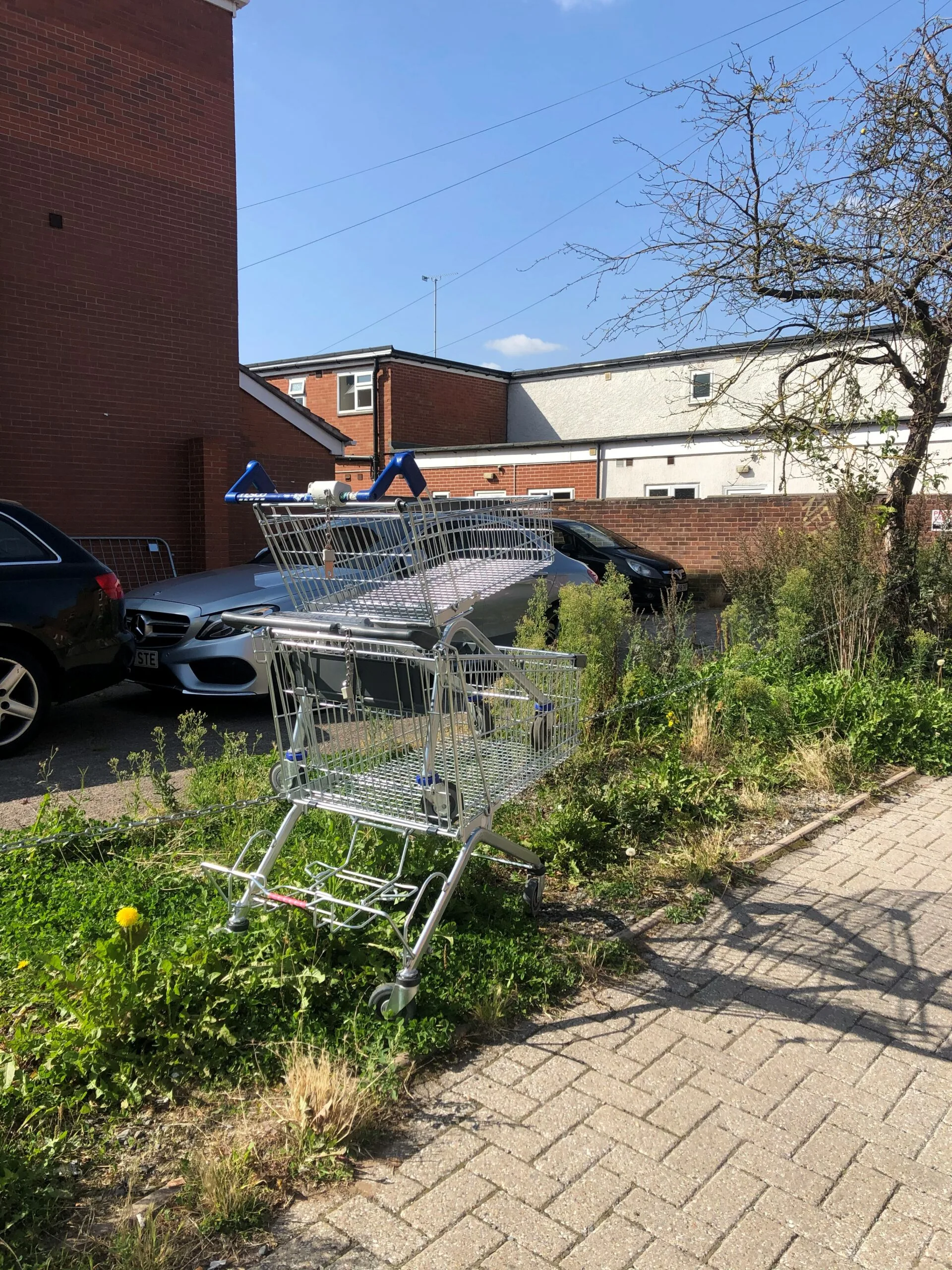 Trolly love