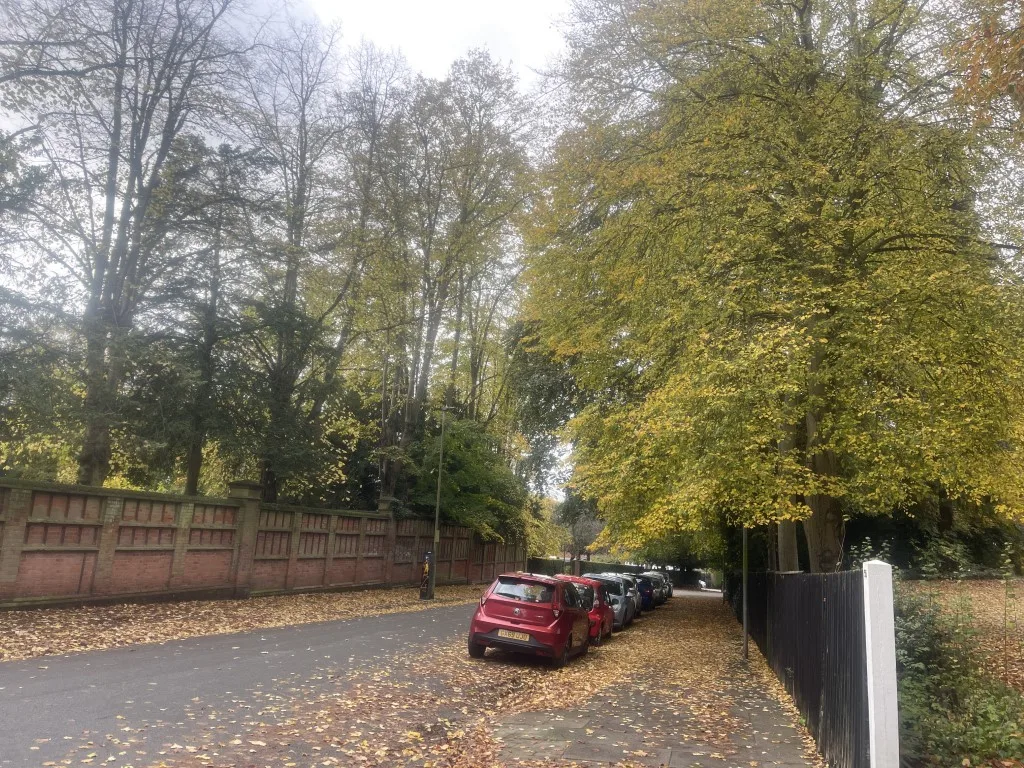 Autumn 001 2022 10 24