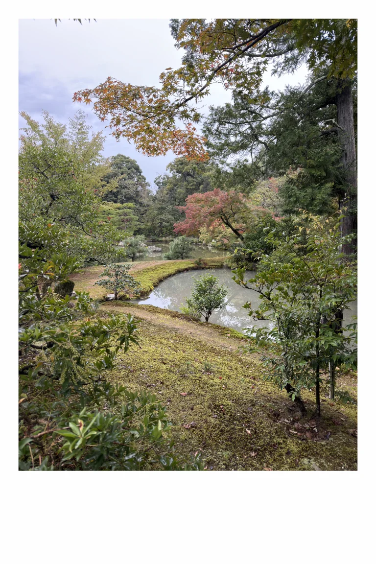 20251031_014629088_iOS-Medium
